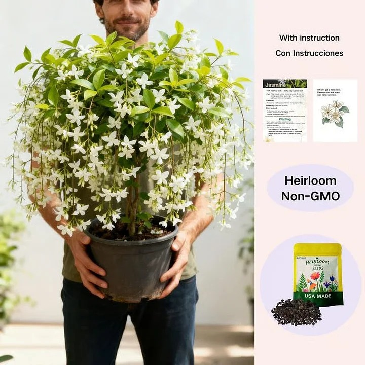 🌸 POSLEDNÍ DEN - 50% SLEVA 🌸 Dvojitý jasmín 🌿