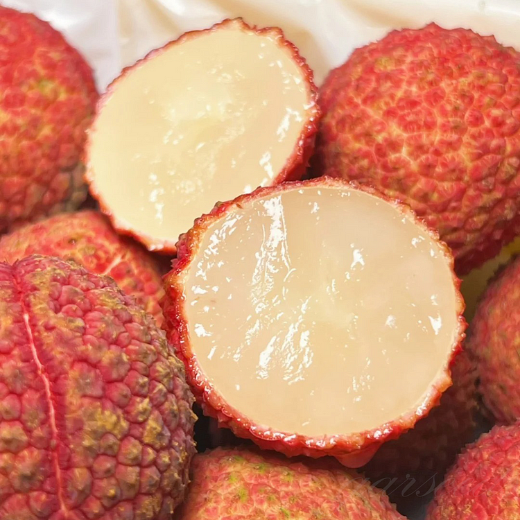 🍒Velká semínka liči – vypěstujte si exotickou sladkost doma ✨