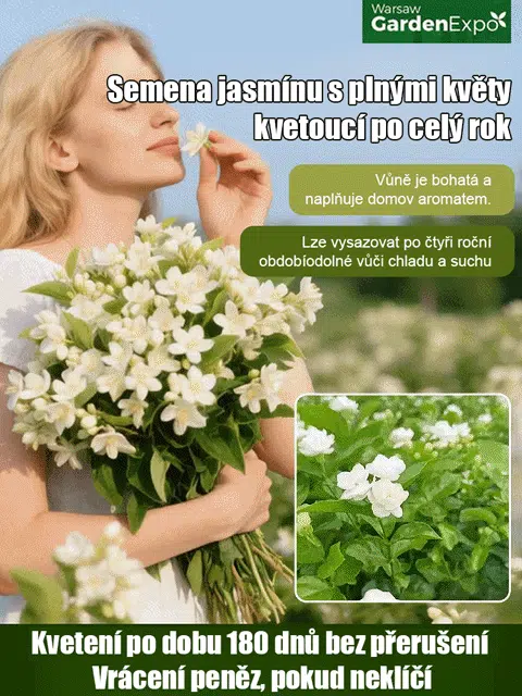 🌸Dvojita jasmínová semínka