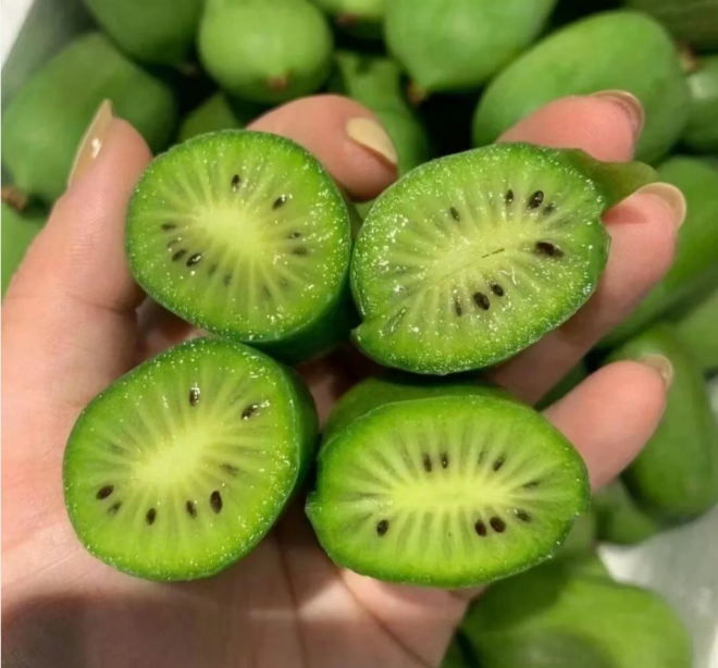 🥝Měkká datlová kiwi semínka