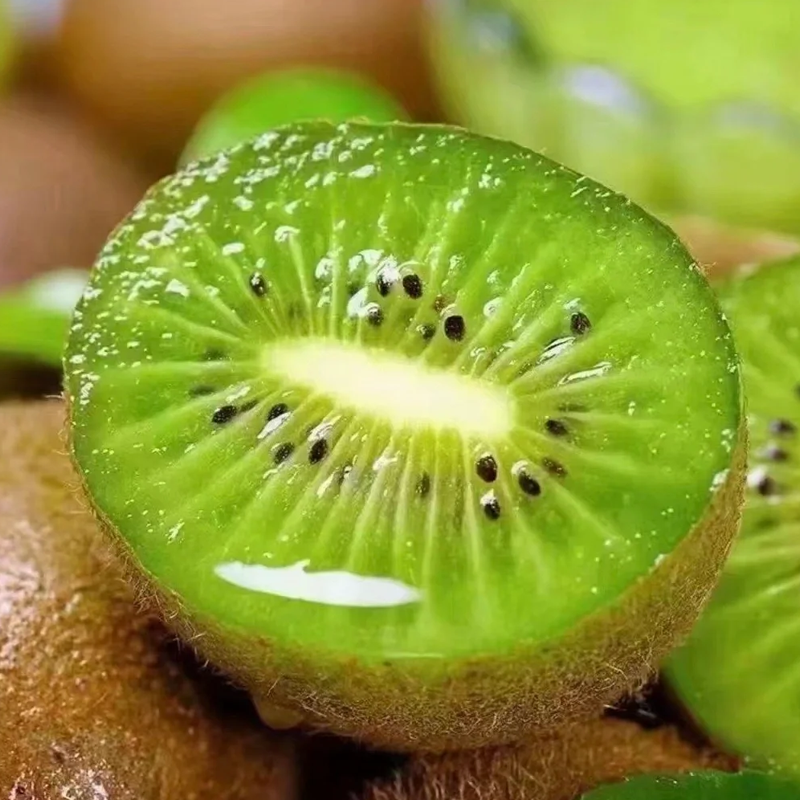 🥝Odolné kivi semená na sadenie – čerstvé, domáce kivi