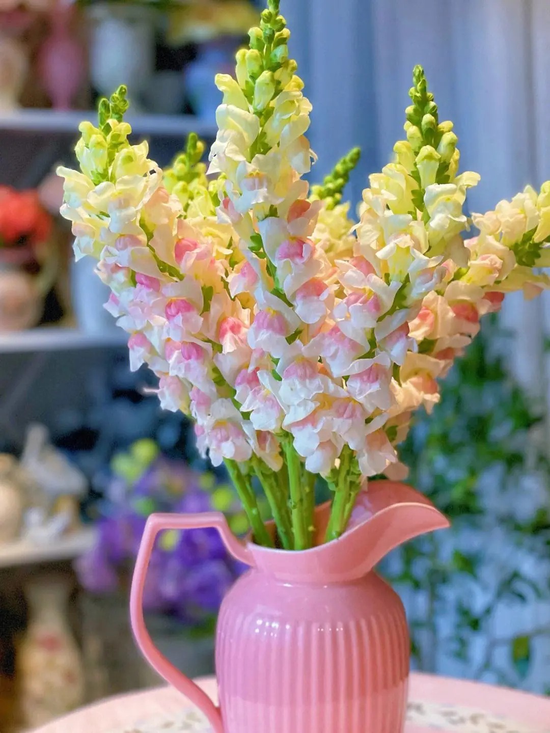 Garden Snapdragon Seeds