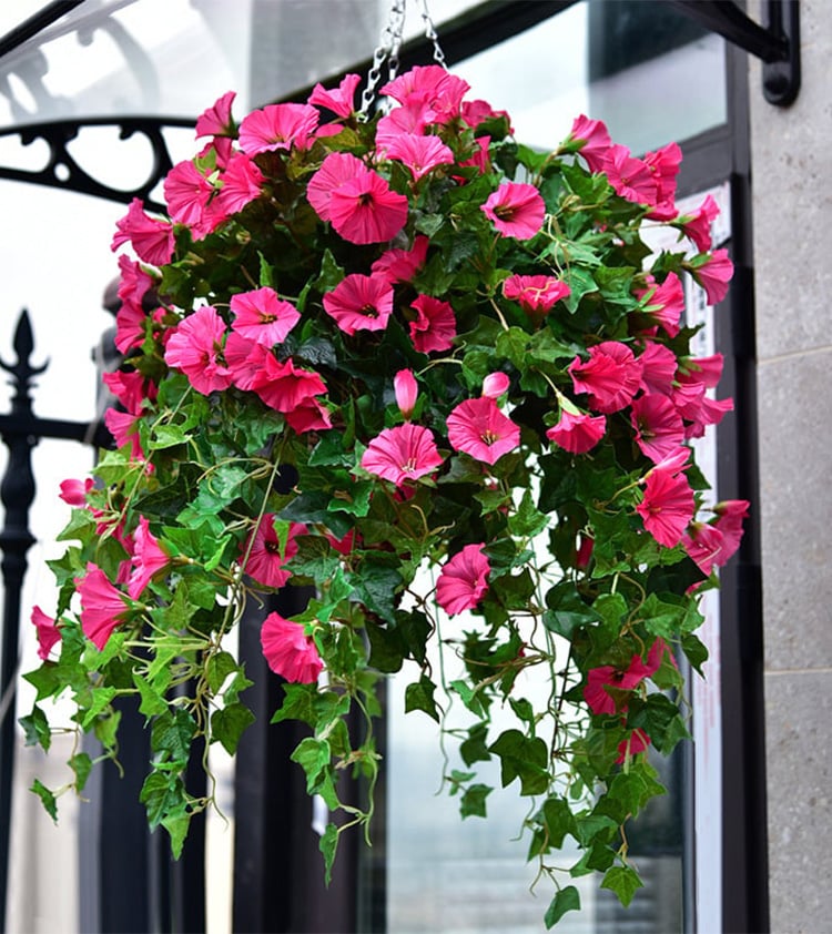 💐2026 Hot Sale✨UV Simulation Artificial Morning Glory