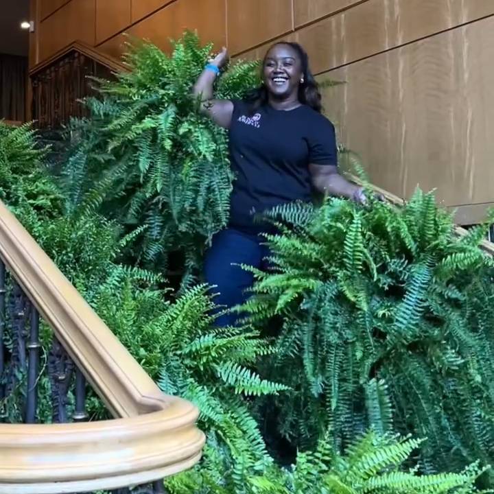 🔥 $9.98 On Sale Only Today 🌱 UV-Resistant Lifelike Artificial Boston Fern