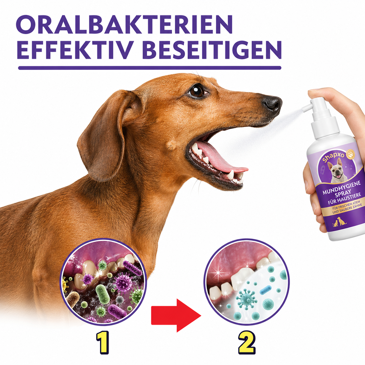 Shapxo™ Petdoir🍃 Zahnpflege-Spray ohne Zähneputzen für Hunde & Katzen ✅ FDA-zugelassen 💨 Frischt den Atem auf 🦷 Hilft, Zahnstein zu reduzieren 🌿 Unterstützt die Regeneration des Zahnfleisches 🦷 Stabilisiert die Zähne