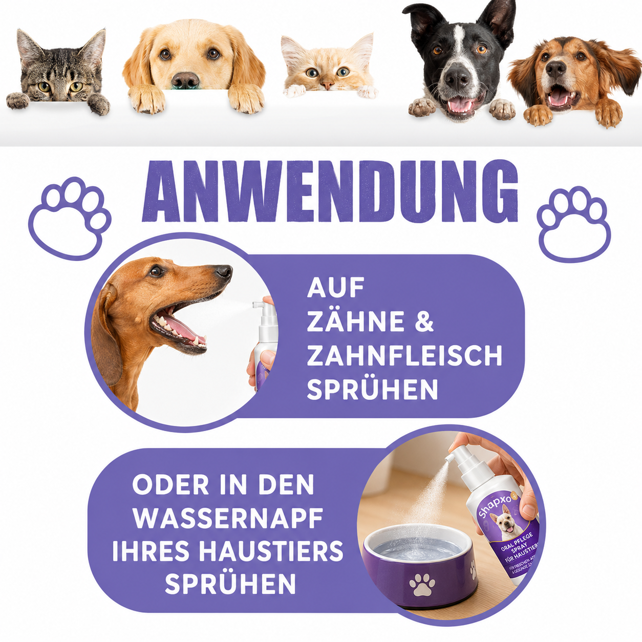 Shapxo™ Petdoir🍃 Zahnpflege-Spray ohne Zähneputzen für Hunde & Katzen ✅ FDA-zugelassen 💨 Frischt den Atem auf 🦷 Hilft, Zahnstein zu reduzieren 🌿 Unterstützt die Regeneration des Zahnfleisches 🦷 Stabilisiert die Zähne