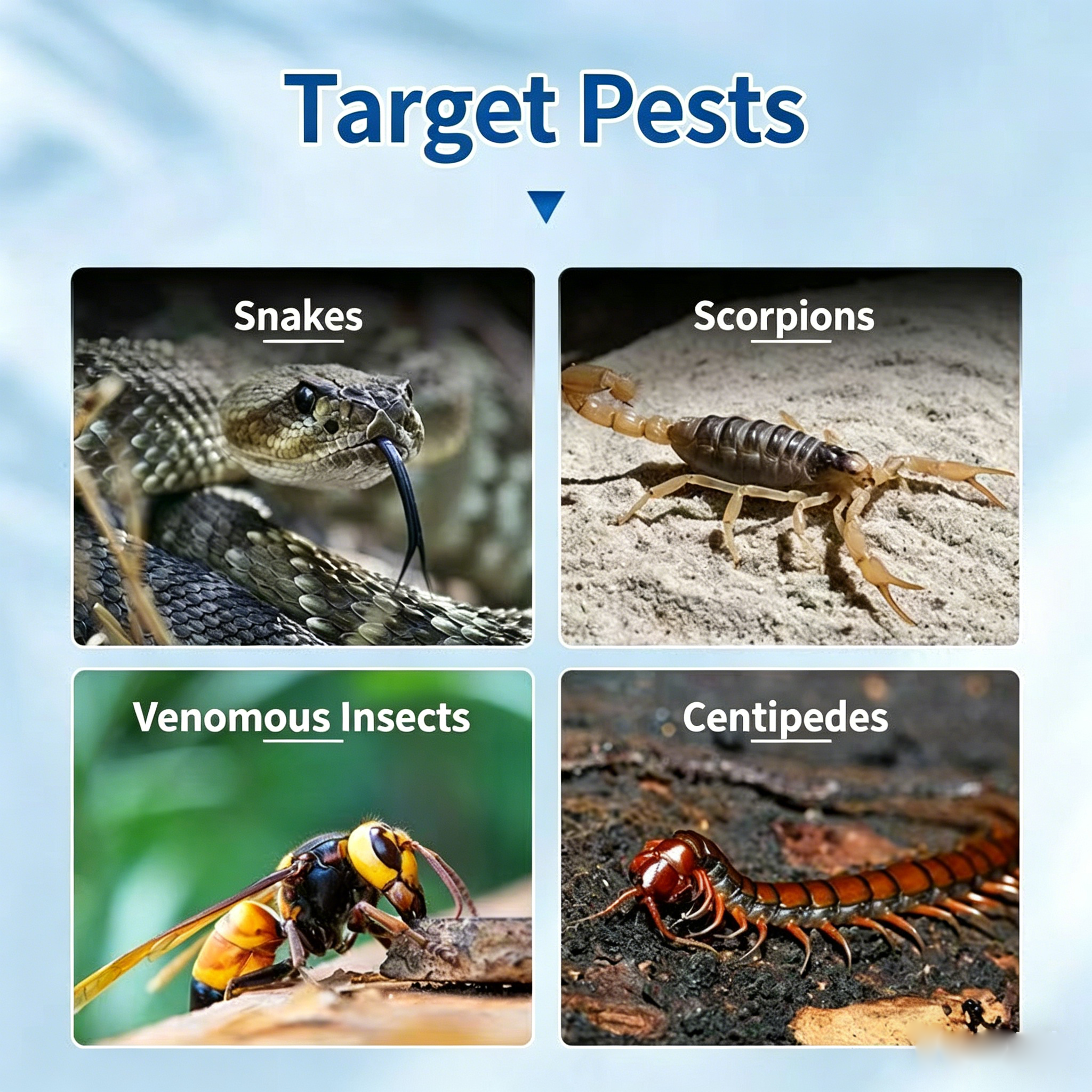 Pet Safe Snake Repellent Powder | Natural Rattlesnake Deterrent for Yard, Home & Outdoor | Waterproof, Long Lasting Snake Away Powder for Lawn, Garden, Camping