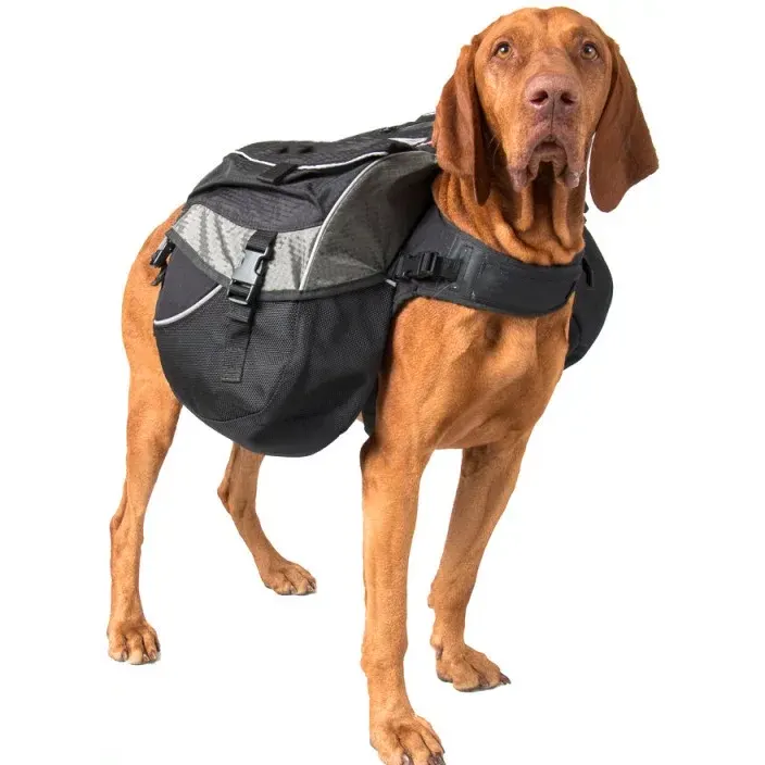 Adjustable Dog Backpack – Roll‑Top Pockets, Rain Cover, Aramid‑Reinforced, Rear Leash Attachment