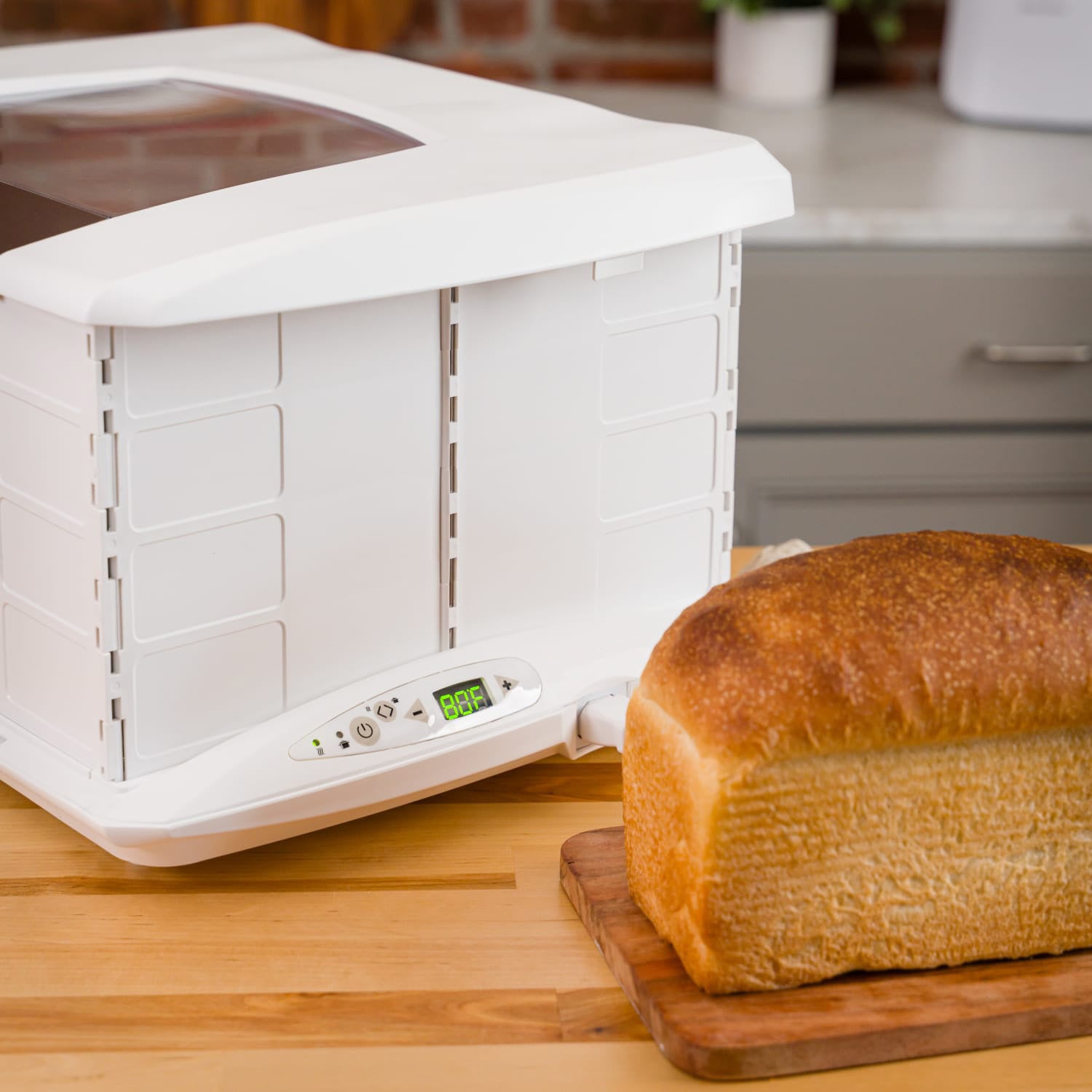 Foldable Bread Proofer & Slow Cooker – 70–195°F, Fits 2 Loaves or 8‑Quart Pot, Precise Fermentation Control