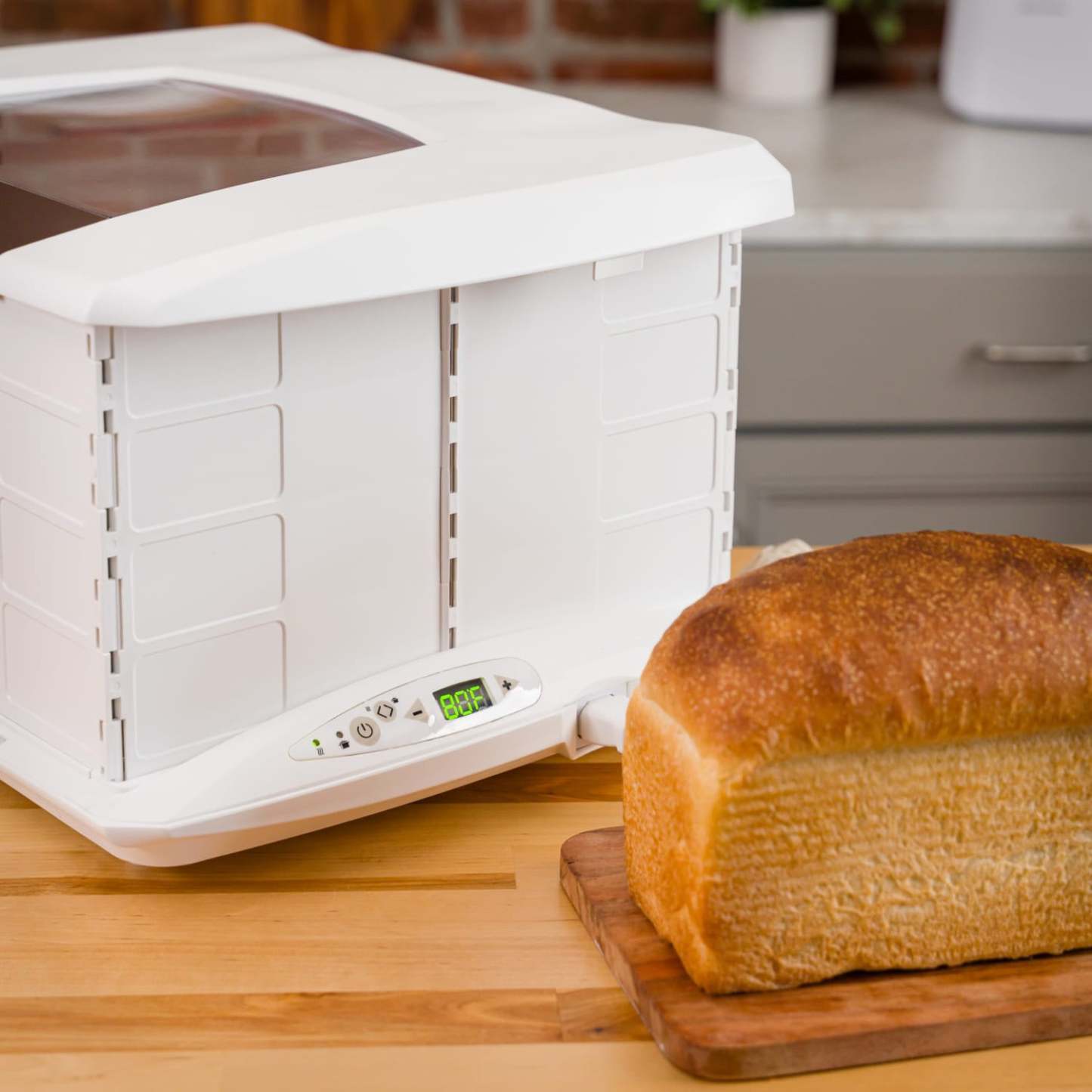 Foldable Bread Proofer & Slow Cooker – 70–195°F, Fits 2 Loaves or 8‑Quart Pot, Precise Fermentation Control