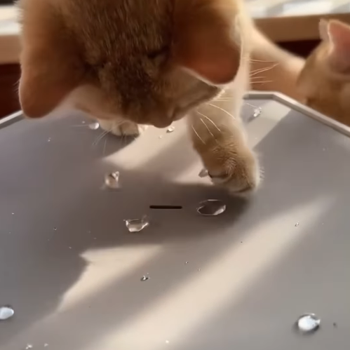 Dripping Water Cat Fountain Toy – Interactive, Self‑Entertainment, Quiet Pump, 400ml Capacity