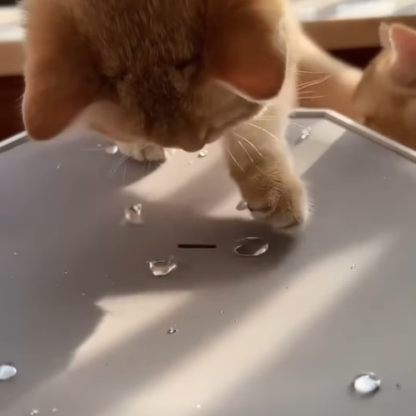 Dripping Water Cat Fountain Toy – Interactive, Self‑Entertainment, Quiet Pump, 400ml Capacity
