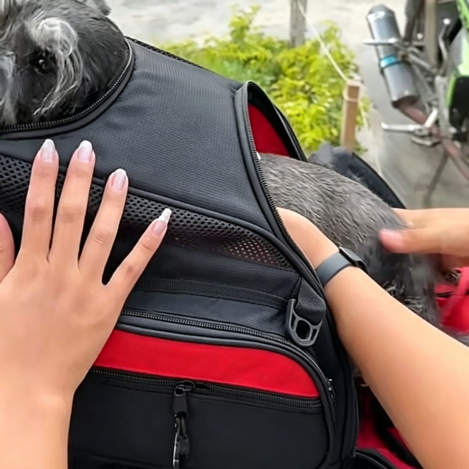 Motorcycle Pet Backpack – Tank‑Mounted Carrier for Dogs & Cats, Up to 12kg