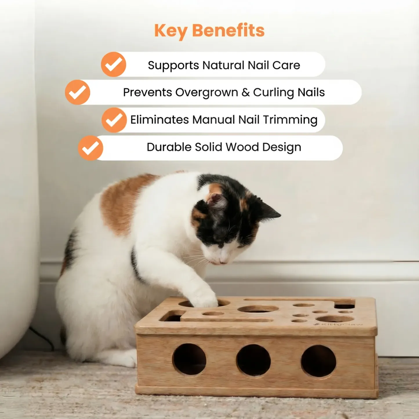 Cat Nail File Puzzle Scratch Box – Fun Play & Healthy Care