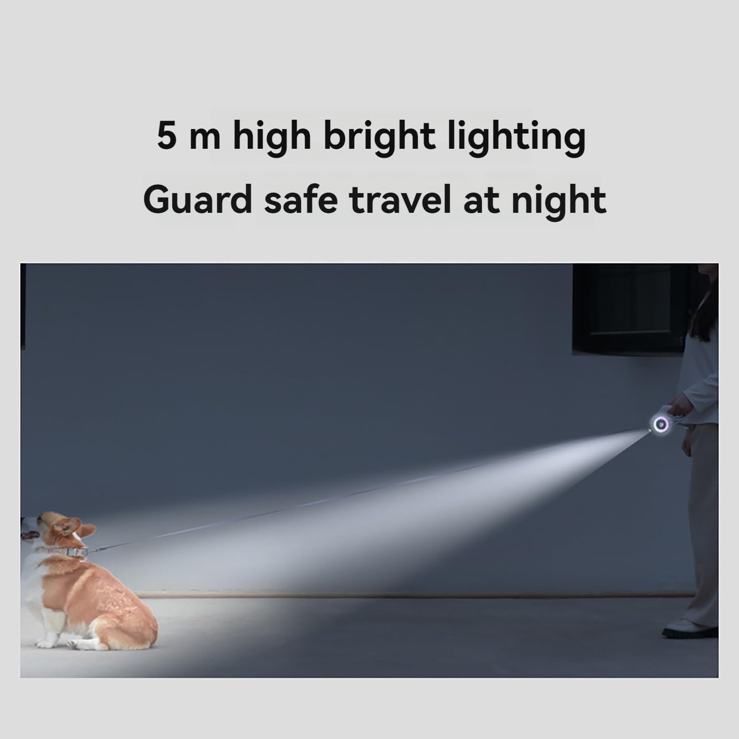 LED Light Retractable Pet Leash for Dogs and Cats