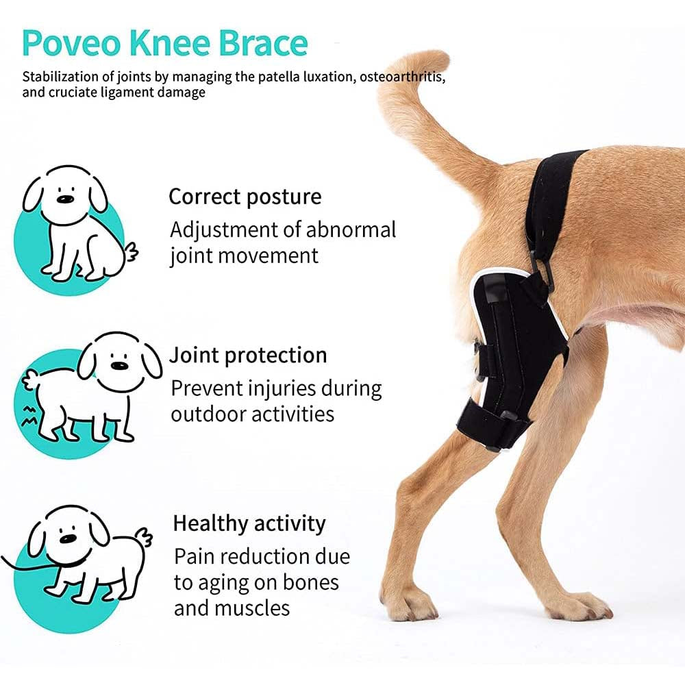 Splint-Style Dog Knee Brace with Patellar Tracking Function — Neoprene Canine Knee Joint Support