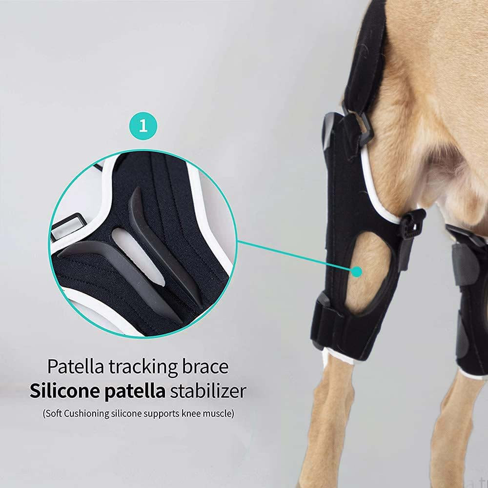 Splint-Style Dog Knee Brace with Patellar Tracking Function — Neoprene Canine Knee Joint Support