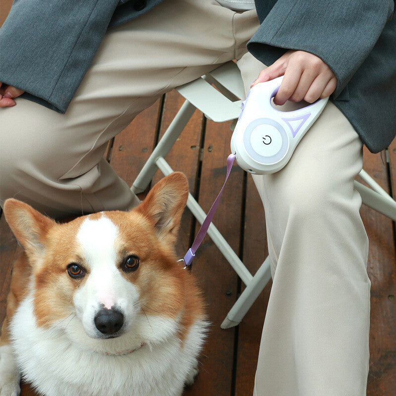 LED Light Retractable Pet Leash for Dogs and Cats