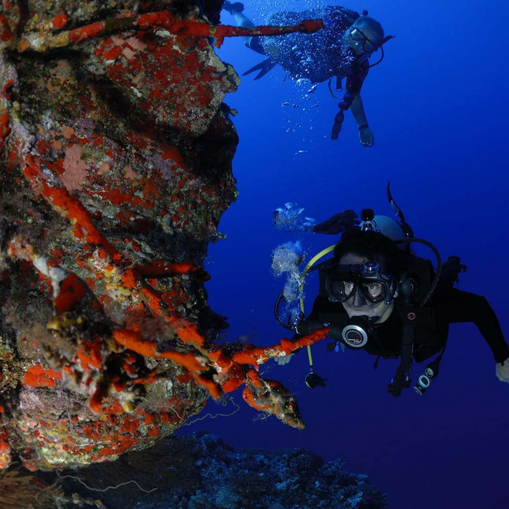 Waterproof Mask | HD Diving Mask, Capture Every Dive Moment