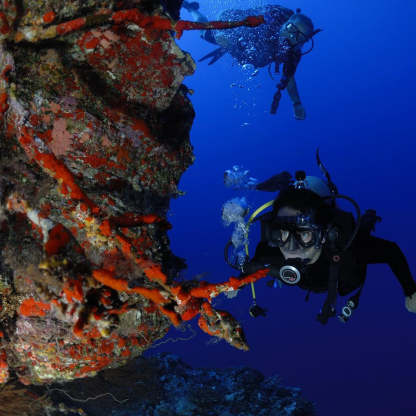 Waterproof Mask | HD Diving Mask, Capture Every Dive Moment