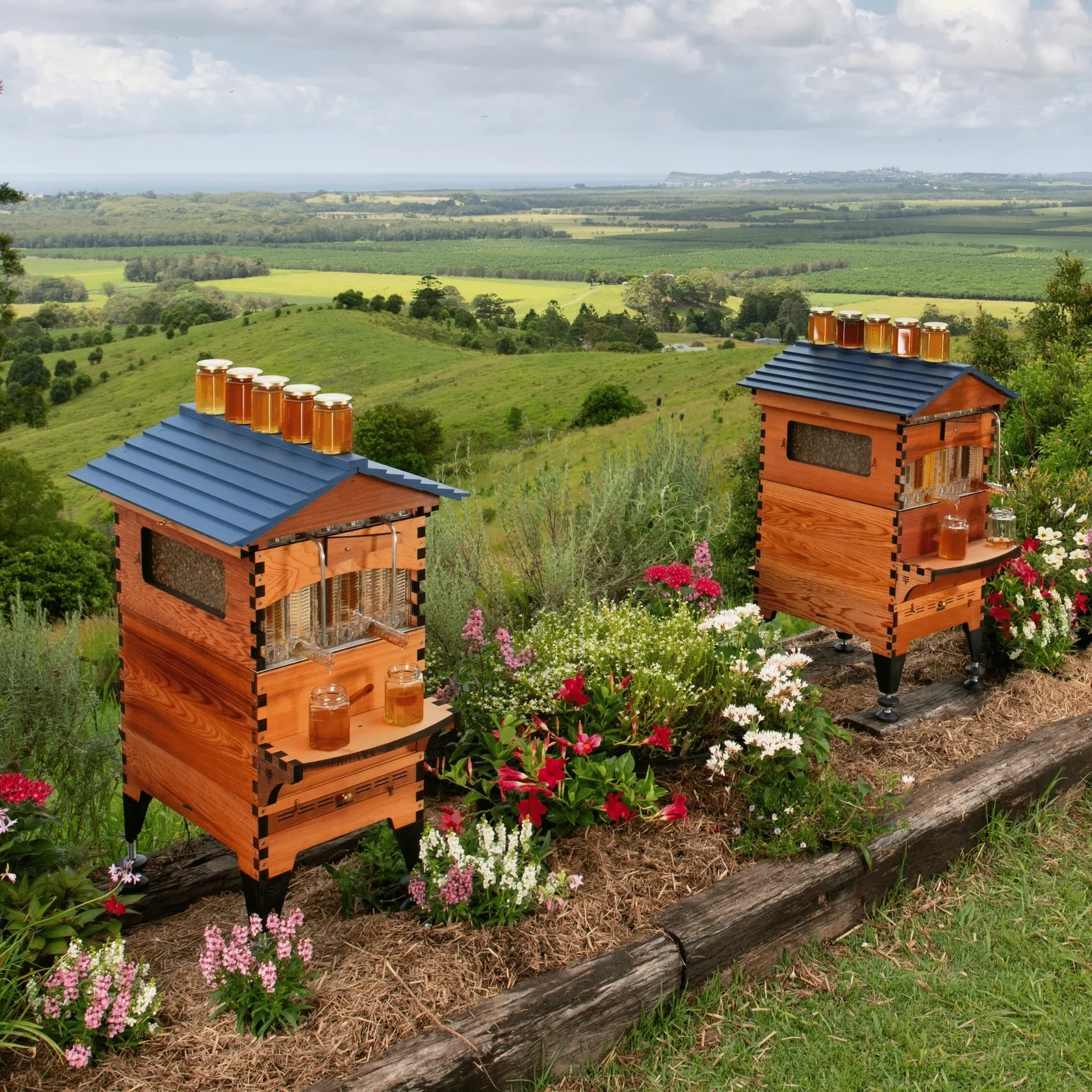 Premium Beehive – Lever‑Activated Harvest, Western Red Cedar, 7‑Frame