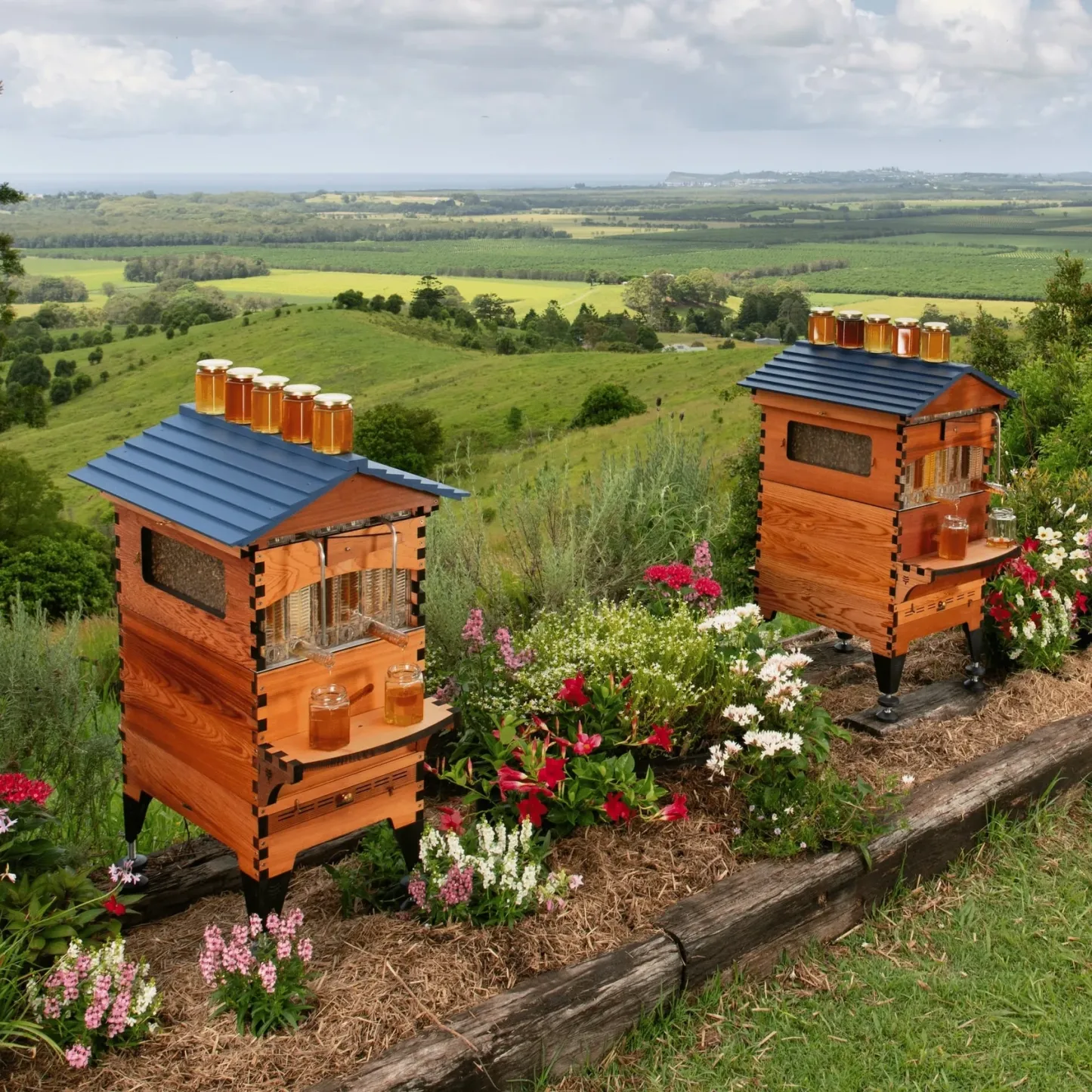 Premium Beehive – Lever‑Activated Harvest, Western Red Cedar, 7‑Frame