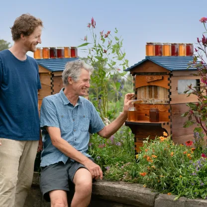 Premium Beehive – Lever‑Activated Harvest, Western Red Cedar, 7‑Frame