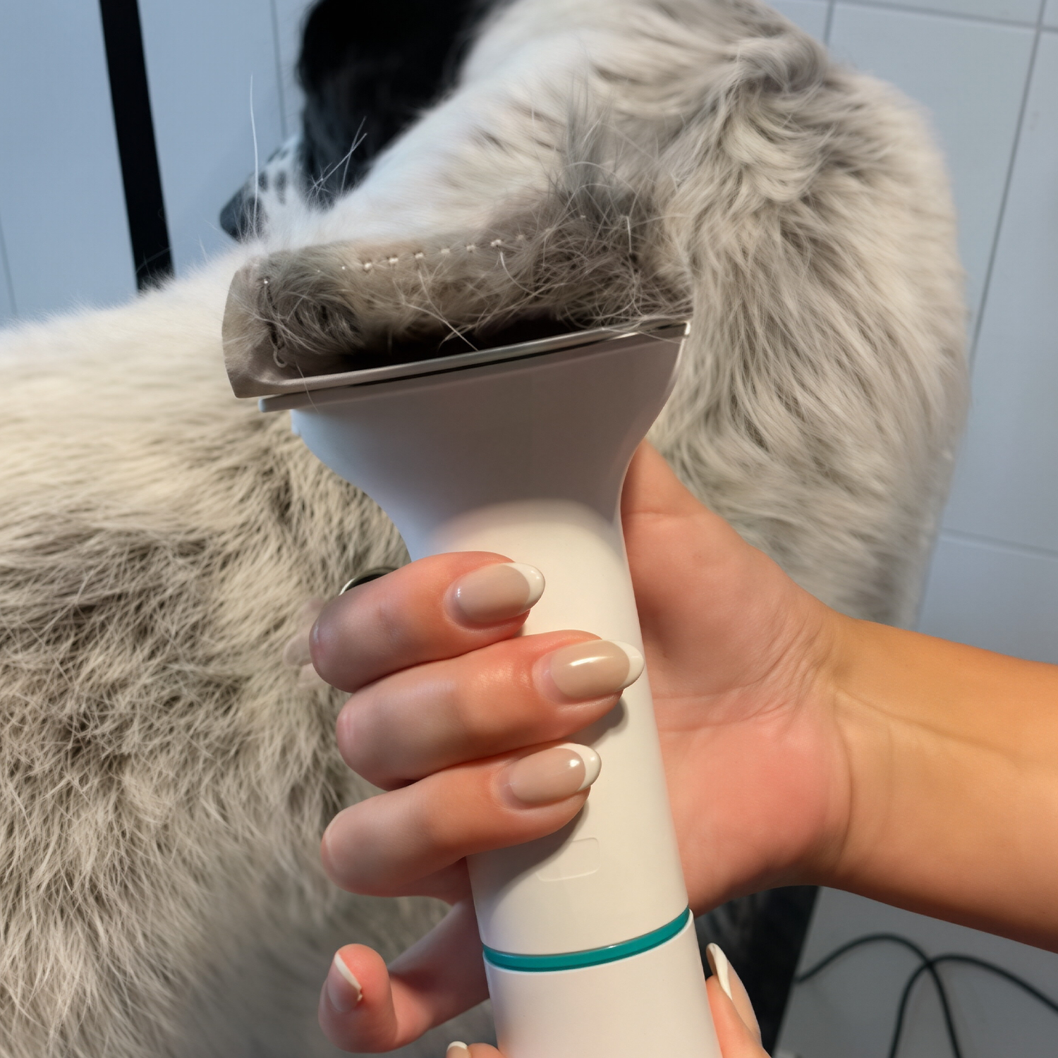 5‑in‑1 Pet Grooming Vacuum Kit – Powerful Suction, Low‑Noise, Large‑Capacity for Cats & Dogs