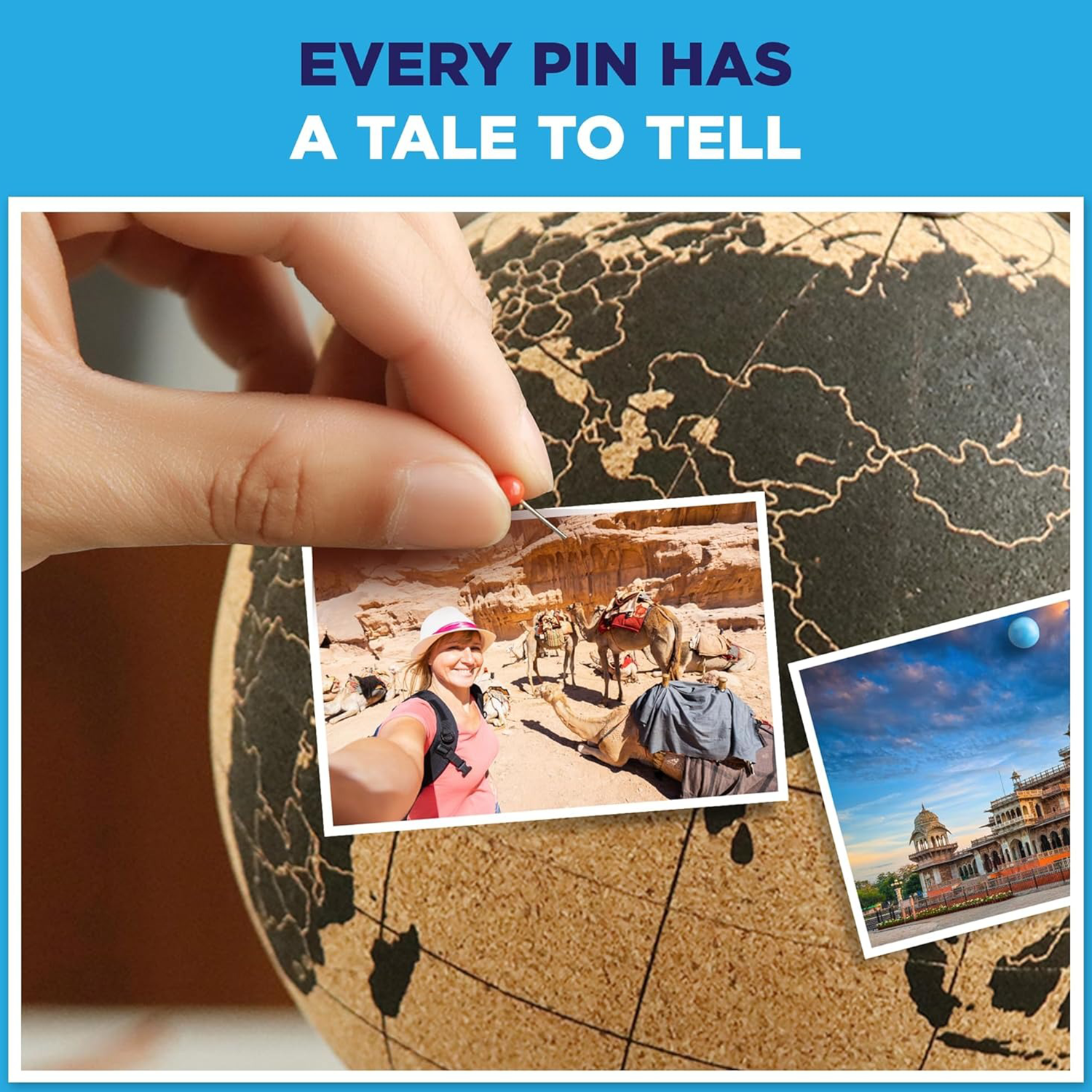 Black cork globe with pins