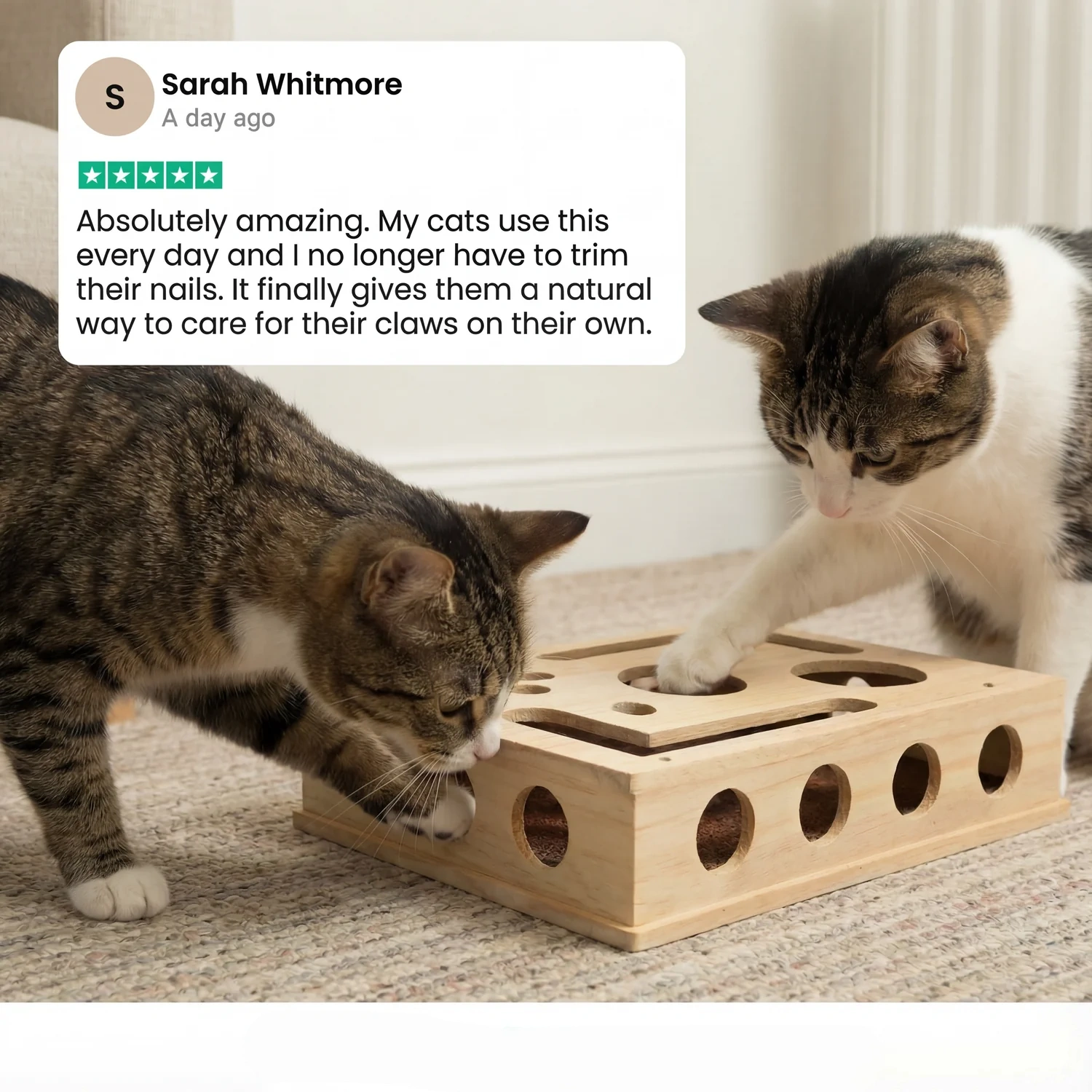 Cat Nail File Puzzle Scratch Box – Fun Play & Healthy Care
