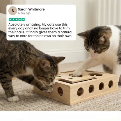 Cat Nail File Puzzle Scratch Box – Fun Play & Healthy Care