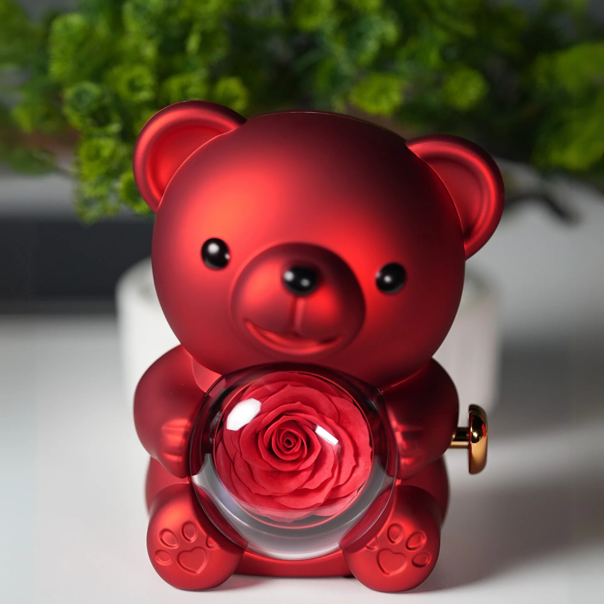 Twist Teddy Bear with Hidden Necklace