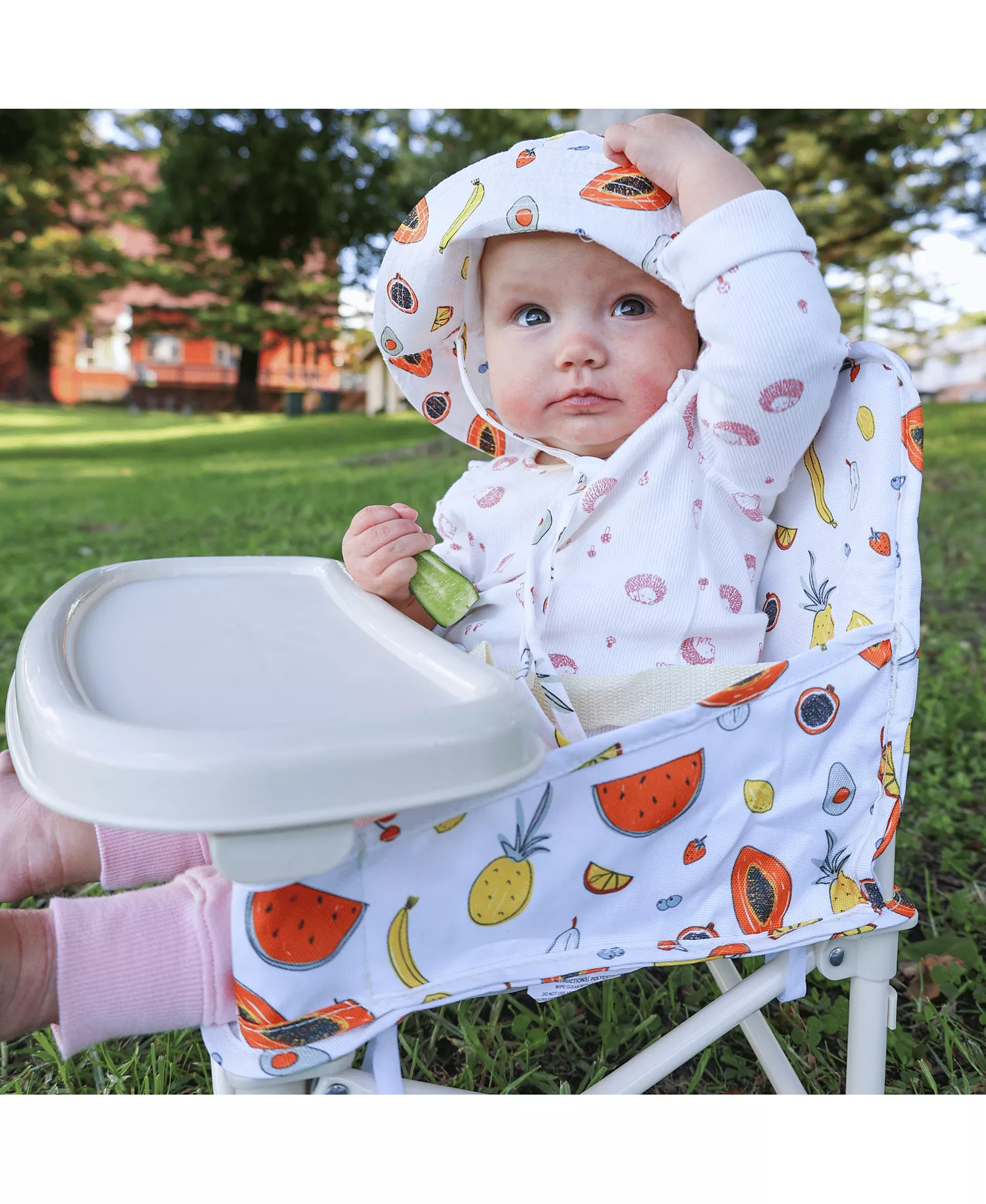 Portable Baby Booster Seat with Foldable Design, Removable Tray & Travel Carry Bag for On-the-Go Feeding