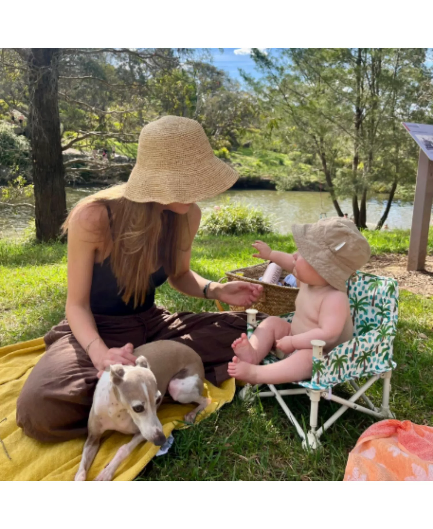 Portable Baby Booster Seat with Foldable Design, Removable Tray & Travel Carry Bag for On-the-Go Feeding