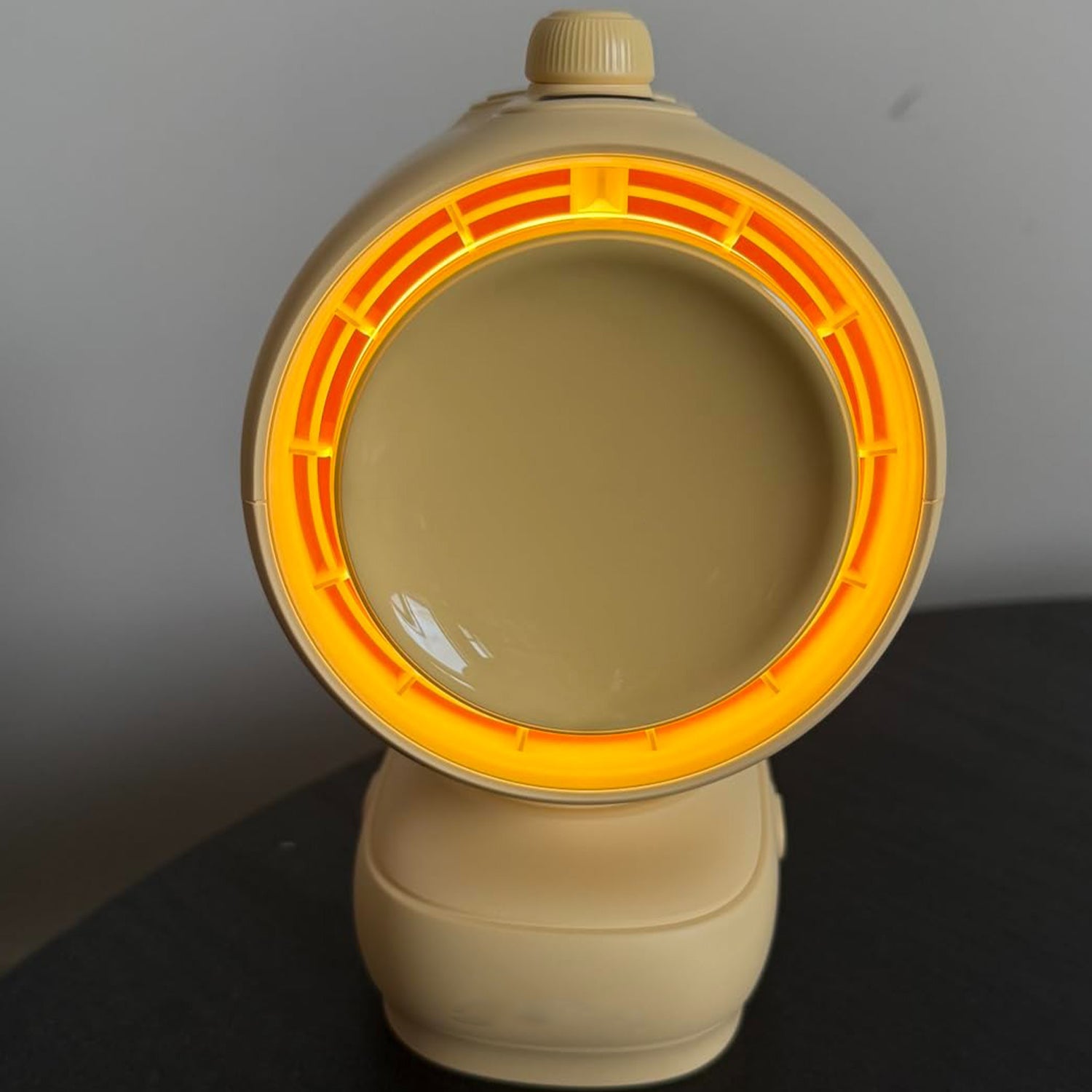 100-level adjustable multi-functional detachable fan