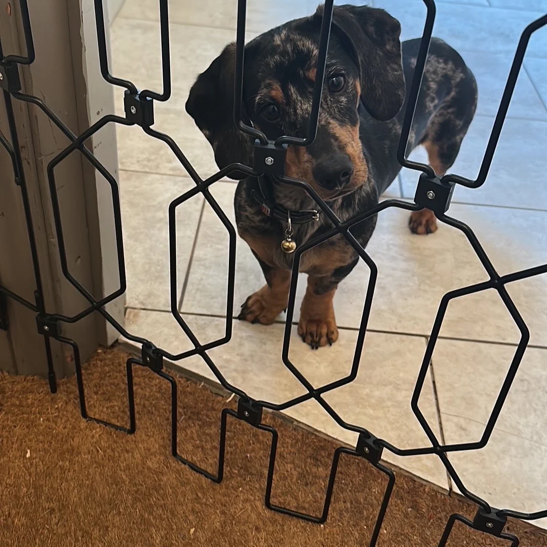 Extra-Wide Retractable Pet Gate – Fits Patio Doors, French Doors, Archways