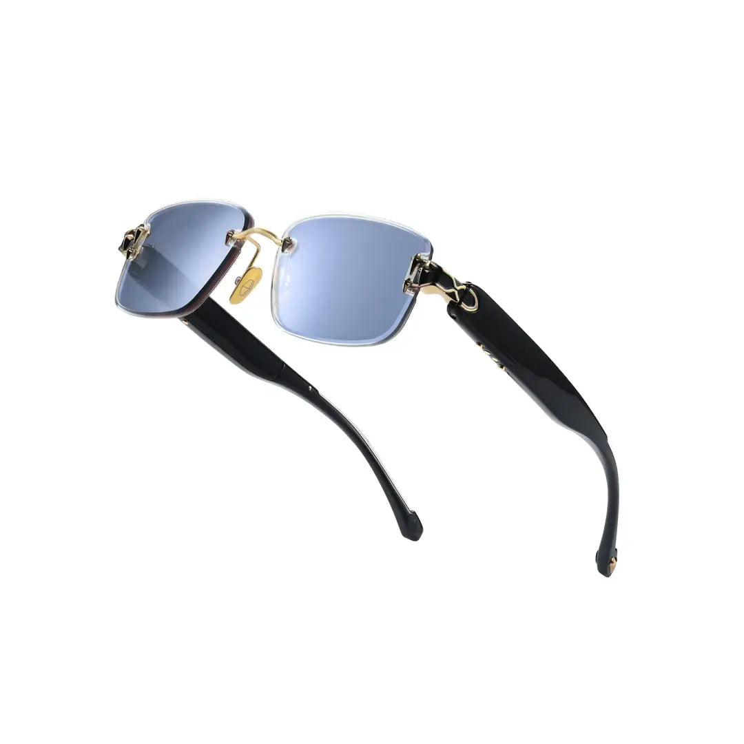 Color-Changing Sunglasses – Adjustable Lenses
