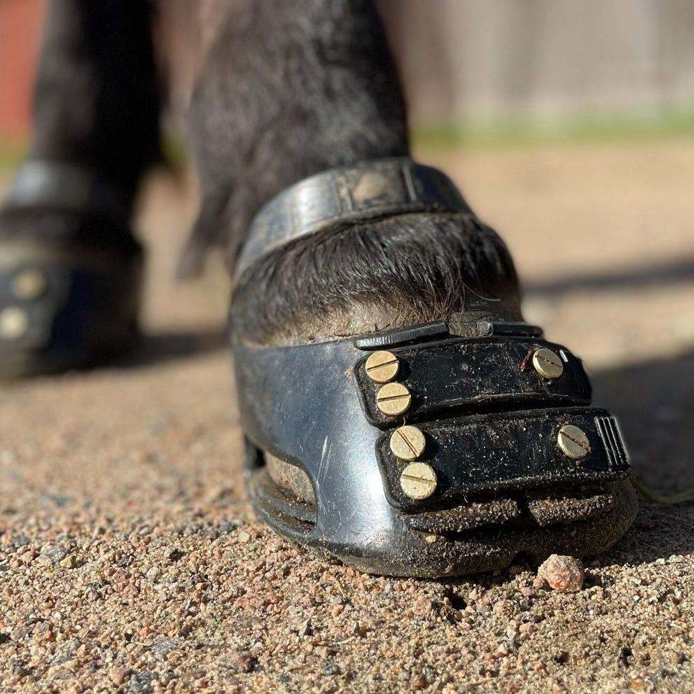 Barefoot Horse Hoof Boots – Lightweight, Durable, and Versatile