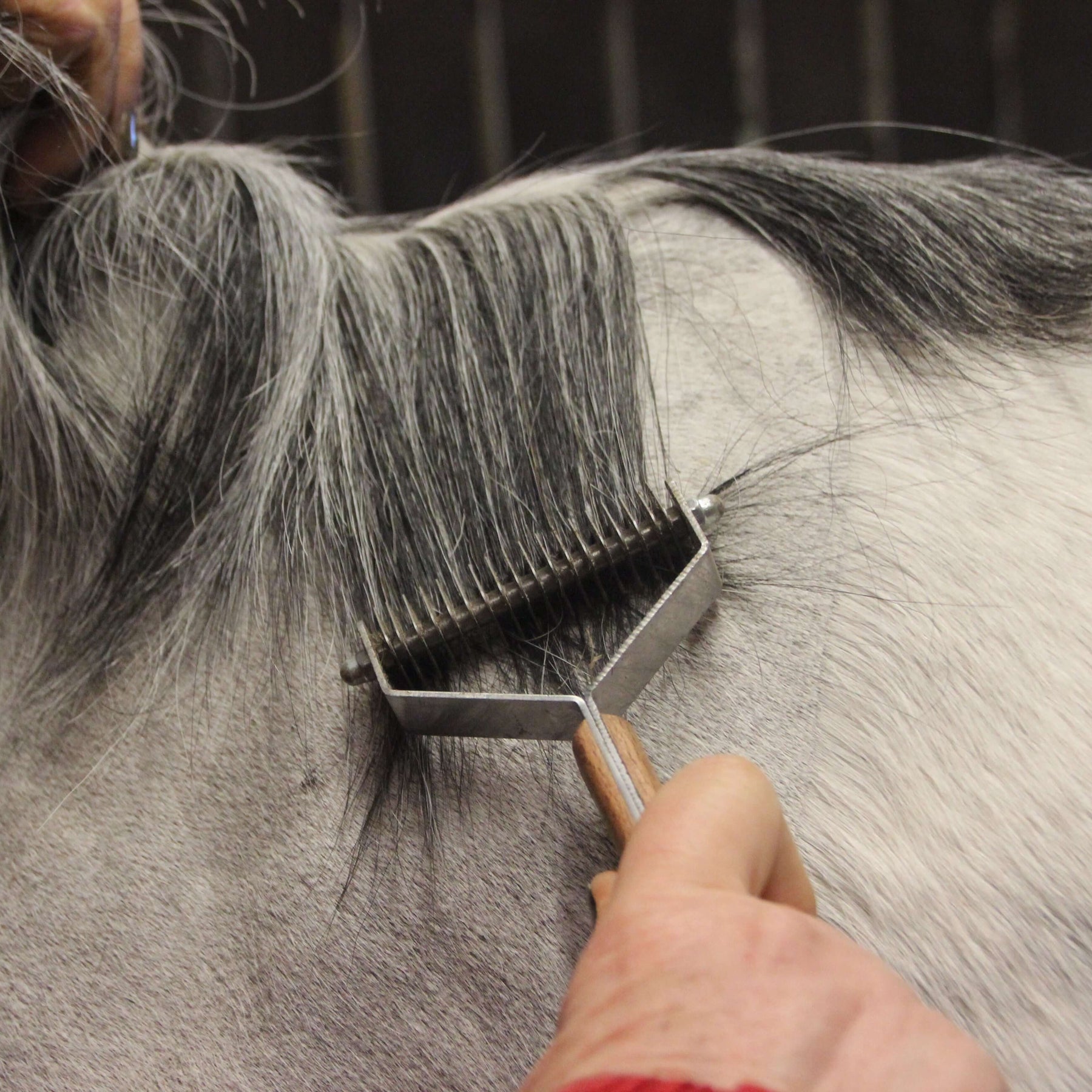 Equestrian Mane Thinning Rake – Smart Grooming Tool