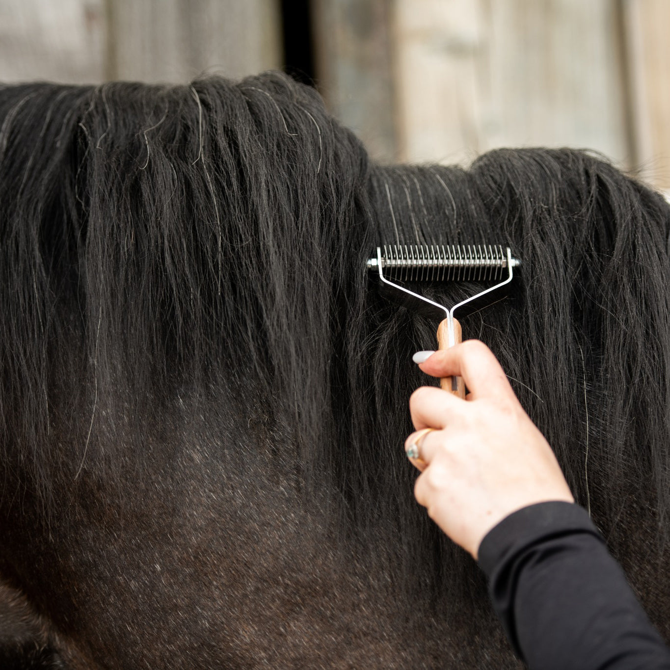 Equestrian Mane Thinning Rake – Smart Grooming Tool