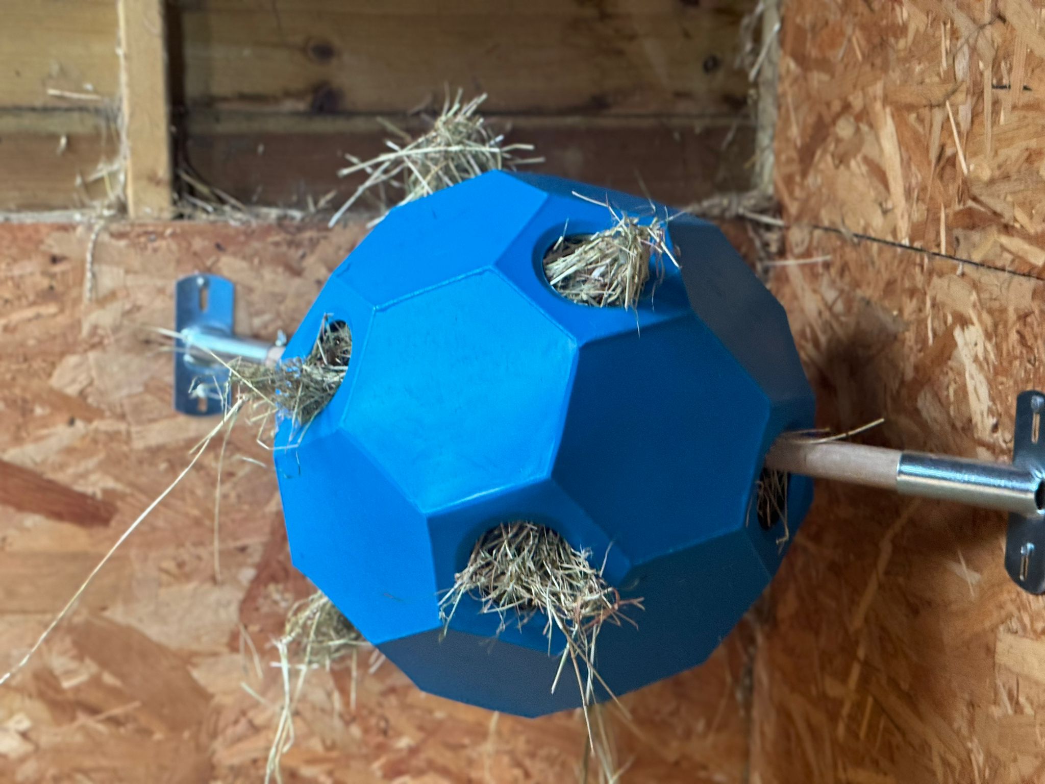 Horse Hay Play Spinner Wall Mount Feeder Accessory