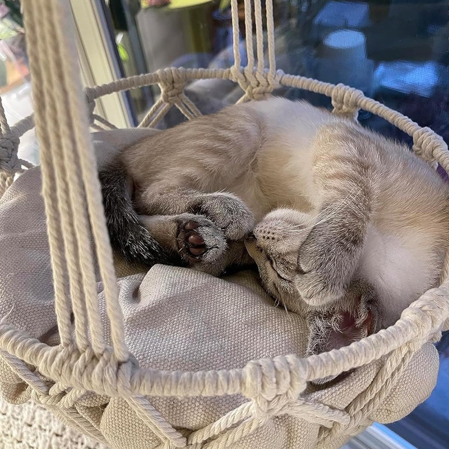 Hand-Woven Hanging Bohemian Cat Bed with Hanging Kit