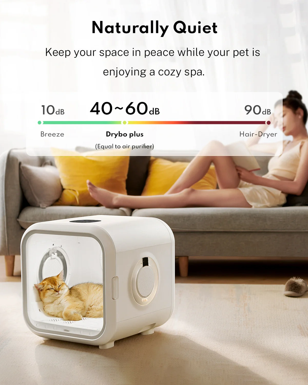 Smart Pet Dryer Box for Cats & Small Dogs