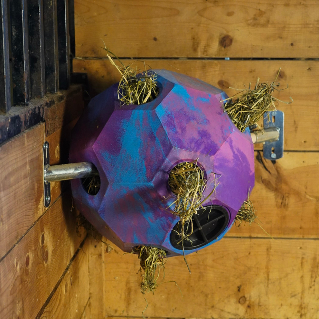 Horse Hay Play Spinner Wall Mount Feeder Accessory