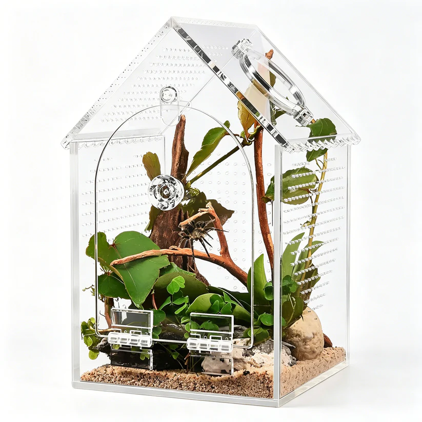 Seamless acrylic jumping spider enclosure