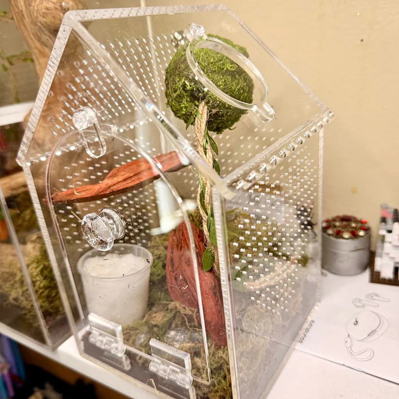 Seamless acrylic jumping spider enclosure