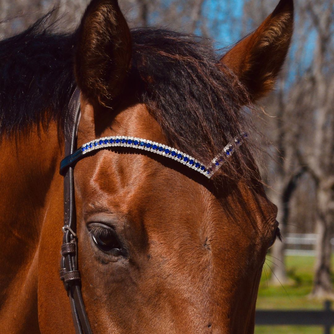 Blue Astra Browband – Starry Night Elegance for Your Horse