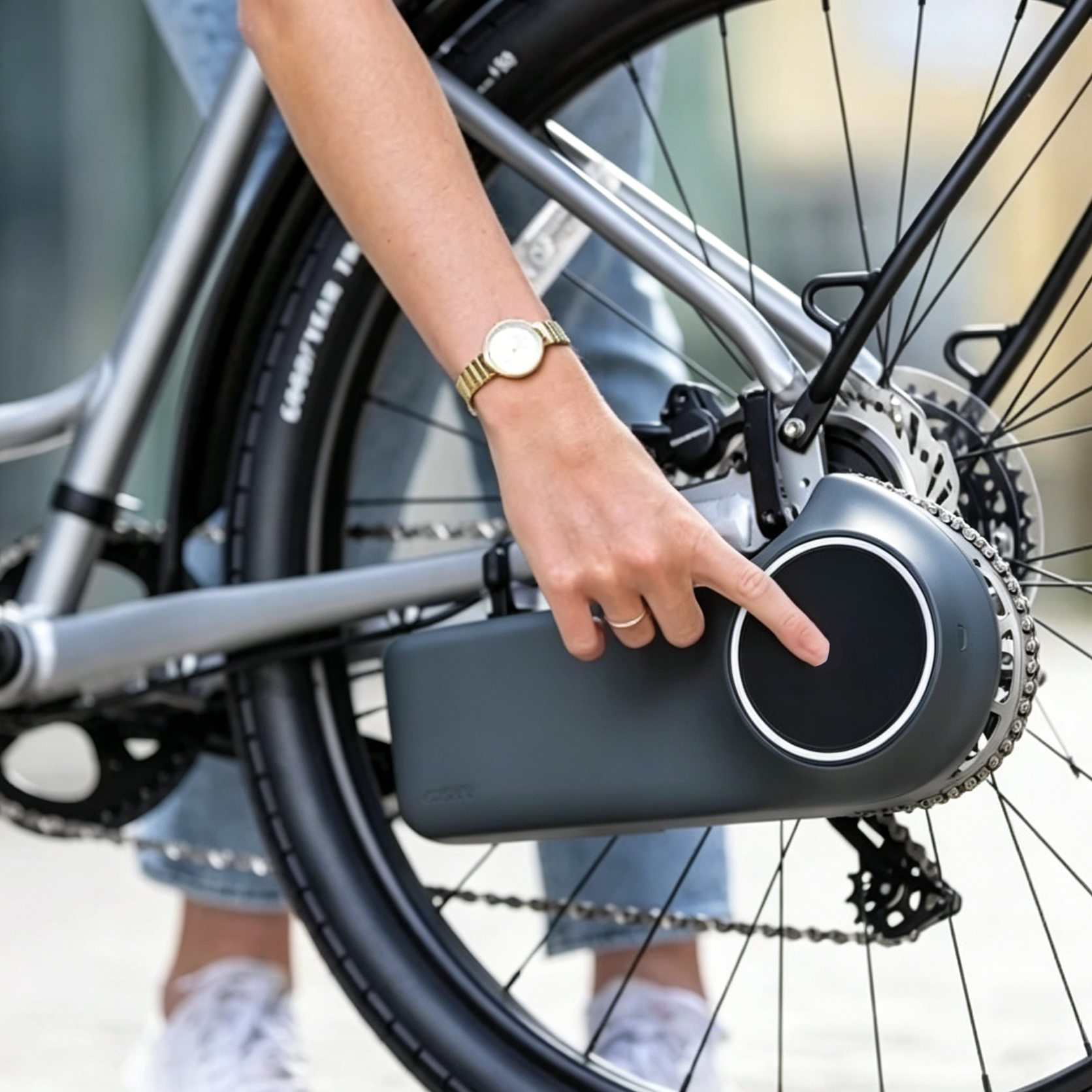 Electric Bicycle Drive System