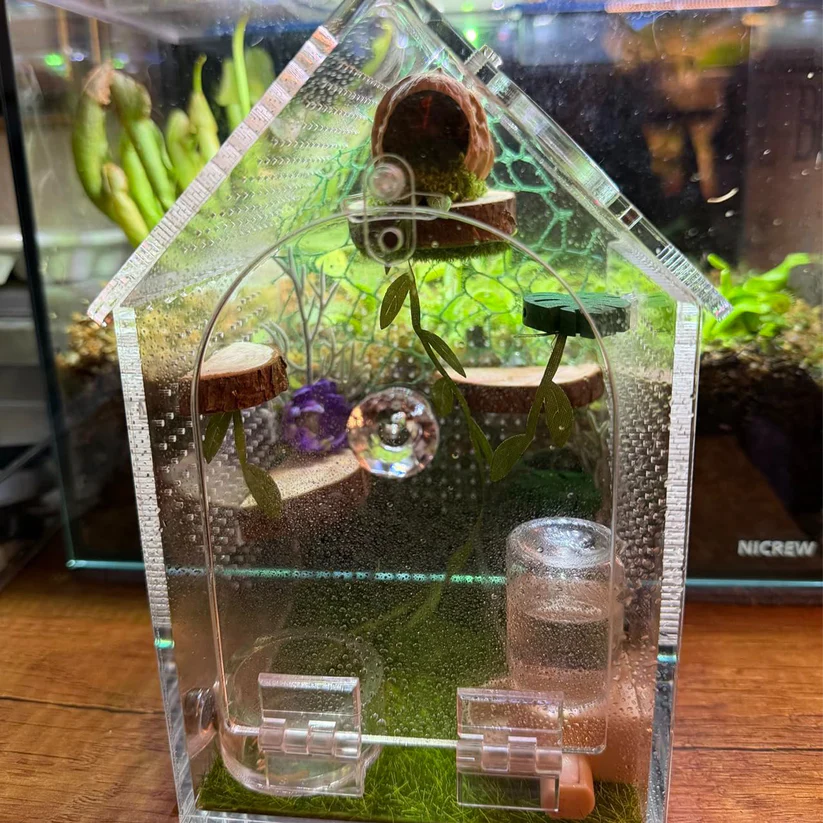 Seamless acrylic jumping spider enclosure