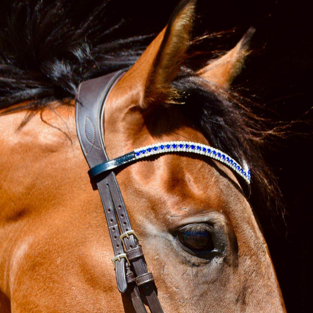 Blue Astra Browband – Starry Night Elegance for Your Horse